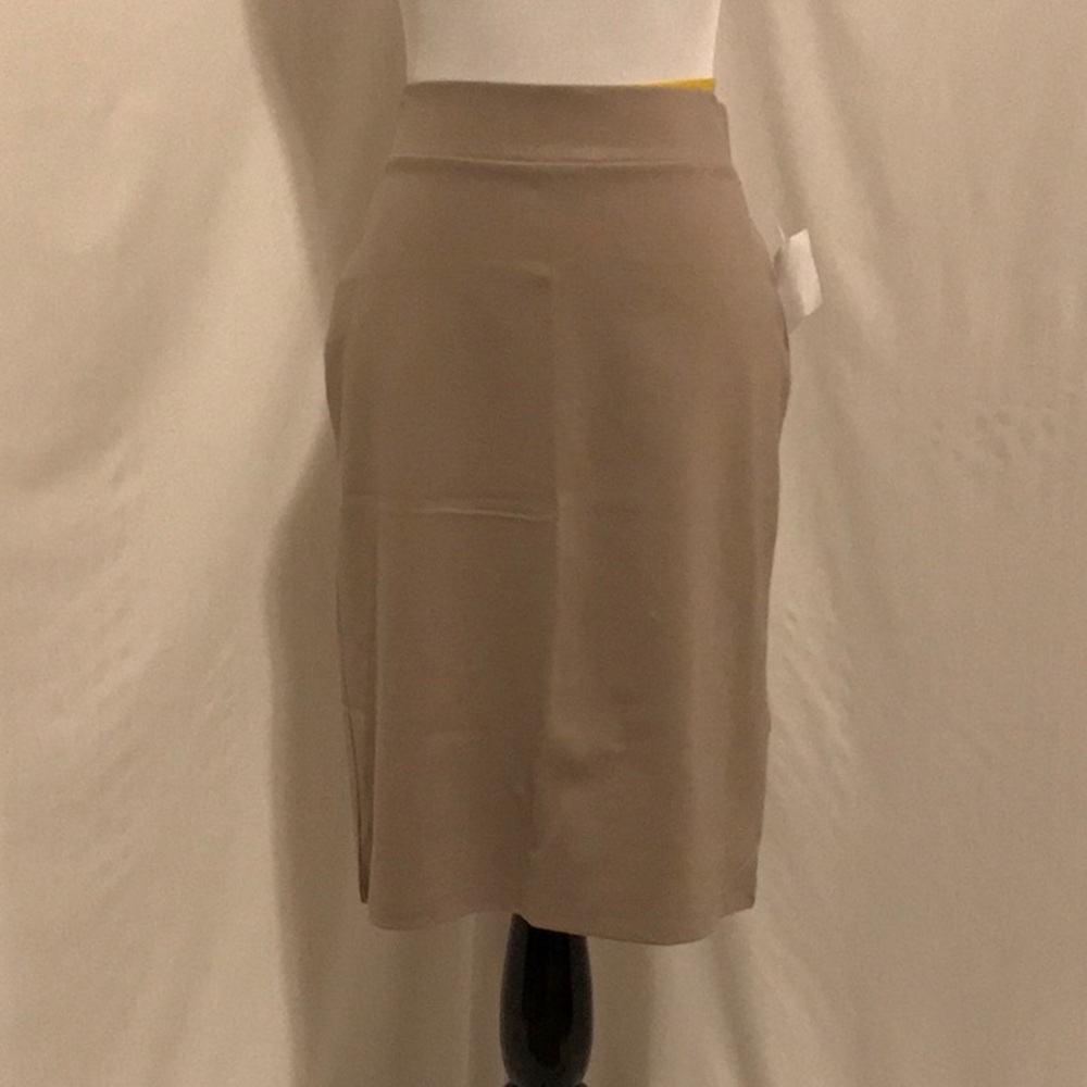 Fitted Stretch Skirt